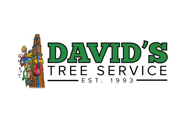 davids-tree-service